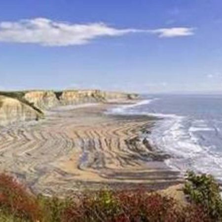 1-Bed Cottage On Coastal Pathway In South Wales Gileston Exteriör bild