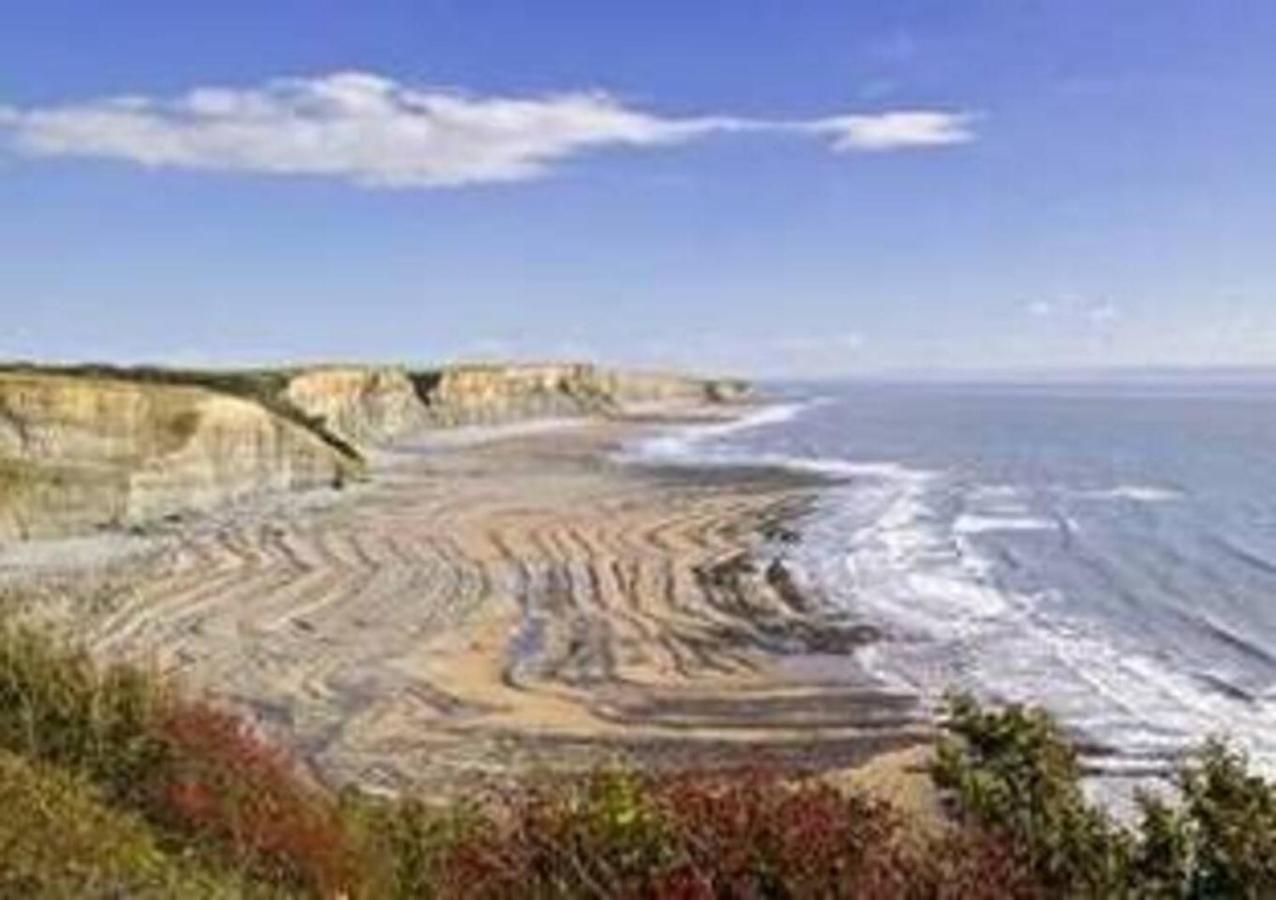 1-Bed Cottage On Coastal Pathway In South Wales Gileston Exteriör bild
