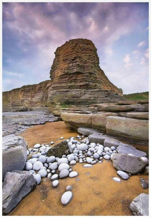 1-Bed Cottage On Coastal Pathway In South Wales Gileston Exteriör bild